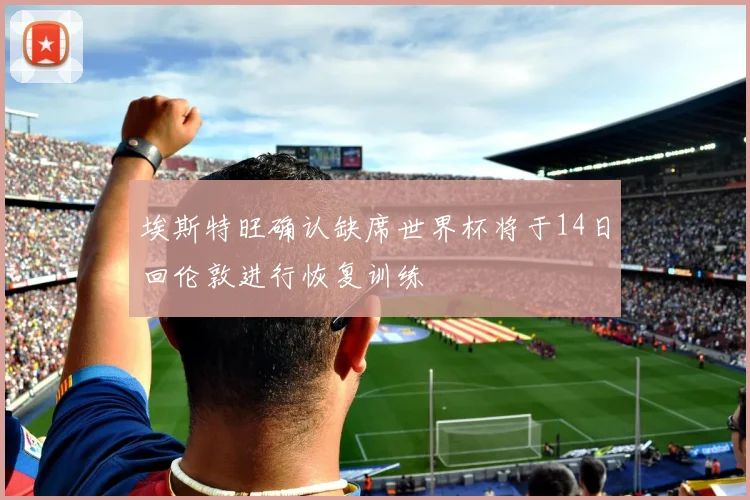 埃斯特旺确认缺席世界杯将于14日回伦敦进行恢复训练