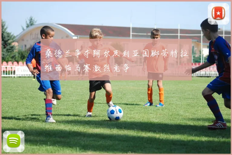 桑德兰争夺阿尔及利亚国脚蒂特拉维面临马赛激烈竞争