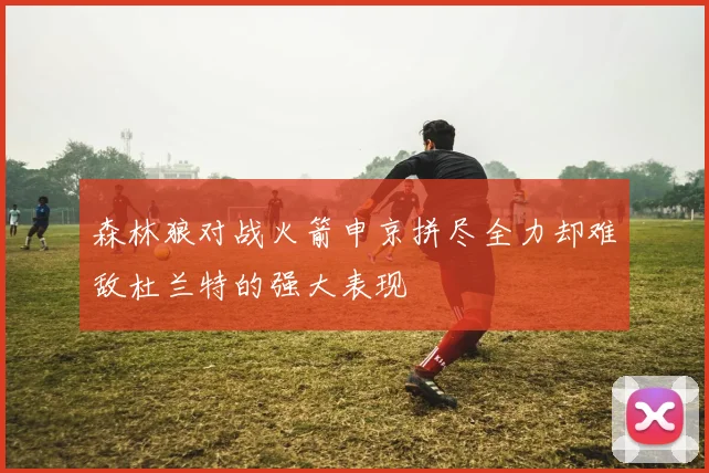 森林狼对战火箭申京拼尽全力却难敌杜兰特的强大表现