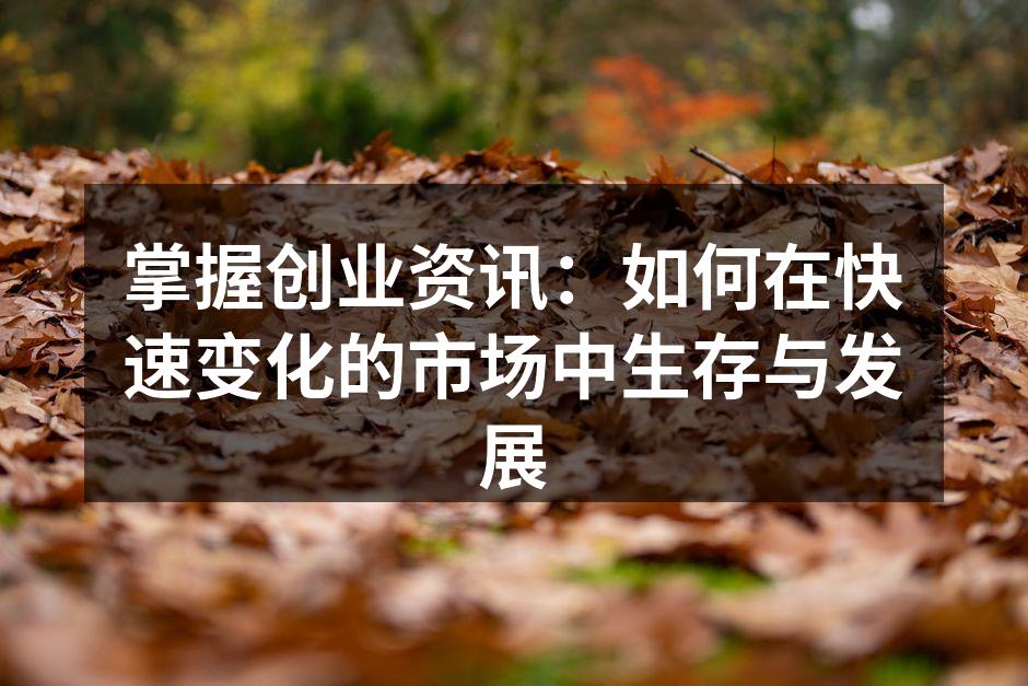 掌握创业资讯：如何在快速变化的市场中生存与发展